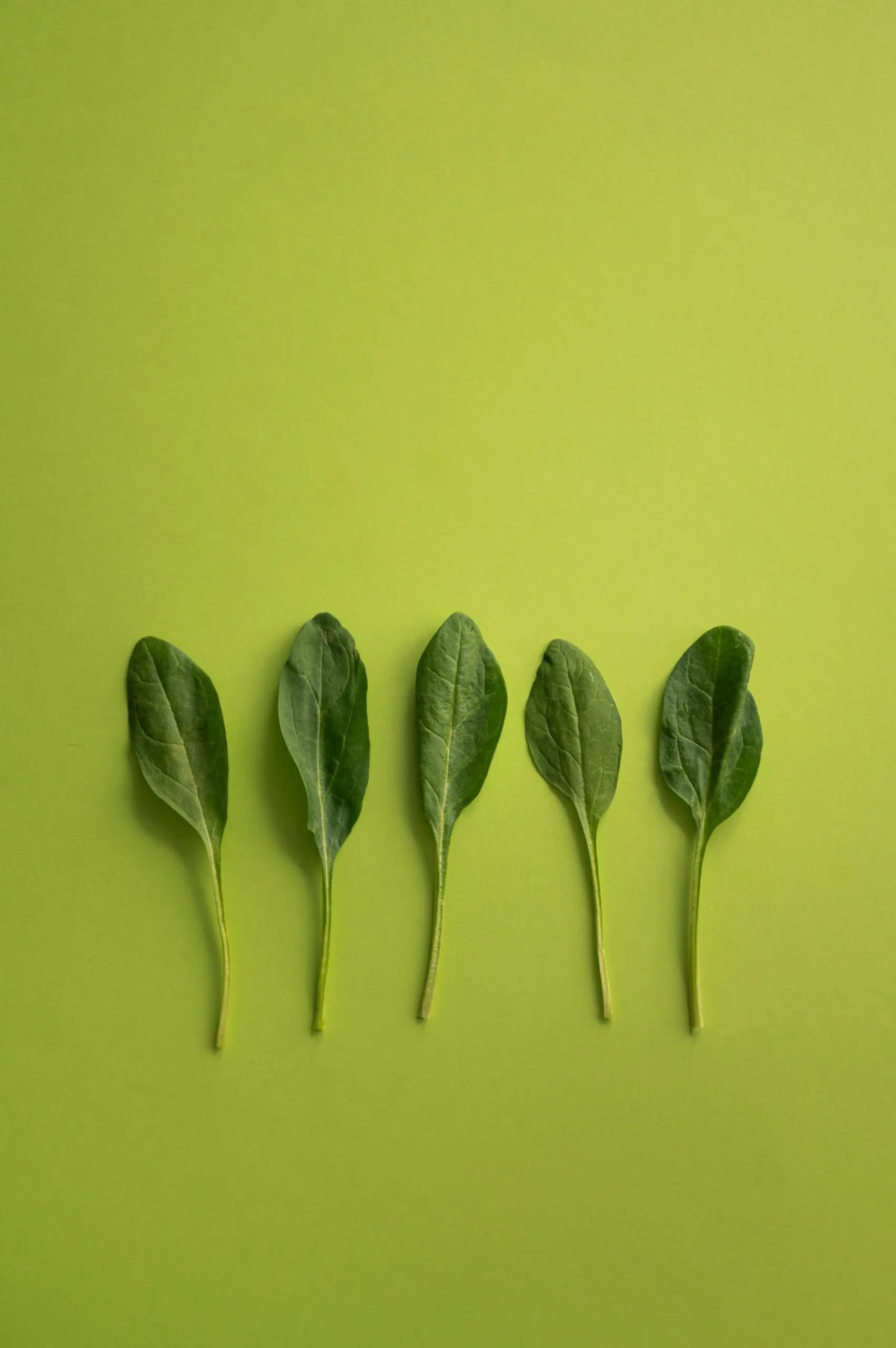 Kinderwunsch und Schwangerschaft: Diese Vitamine sind wichtig